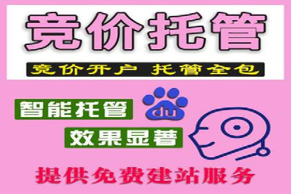 案例解析：SEM优化助力电商转化